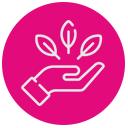 Environmental Wellness